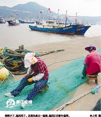 渔民捕不到鱼居民吃不起鱼 浙江沿海渔业之困惑