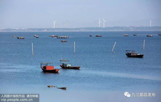 鄱阳湖来事了 全面禁止天然渔业资源生产性捕捞 禁捕期十年